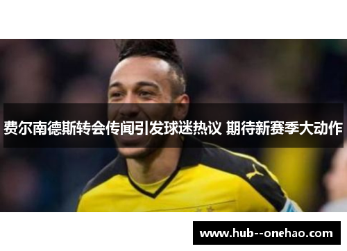 费尔南德斯转会传闻引发球迷热议 期待新赛季大动作